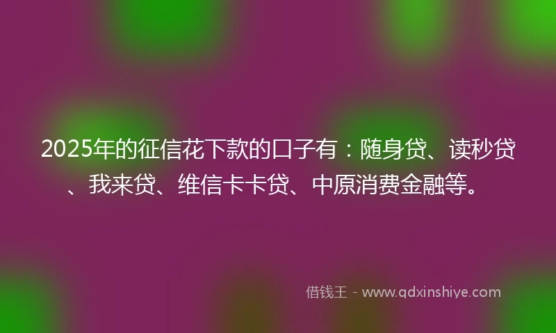 2025年的征信花下款的口子有：随身贷、读秒贷、我来贷、维信卡卡贷、中原消费金融等。