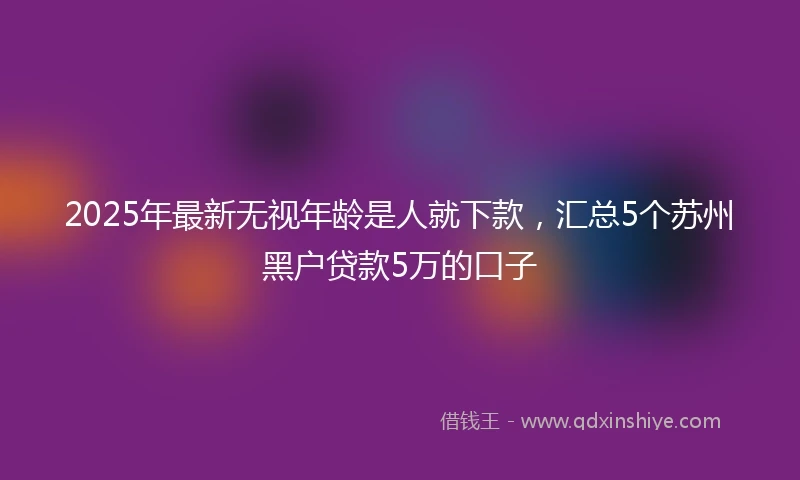 2025年最新无视年龄是人就下款，汇总5个苏州黑户贷款5万的口子