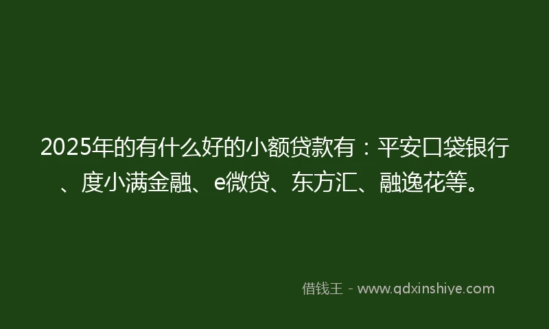 2025年的有什么好的小额贷款有：平安口袋银行、度小满金融、e微贷、东方汇、融逸花等。