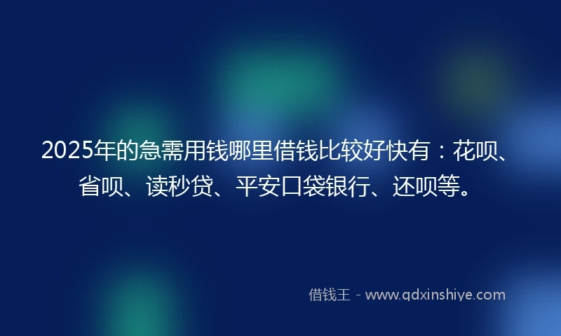 2025年的急需用钱哪里借钱比较好快有：花呗、省呗、读秒贷、平安口袋银行、还呗等。