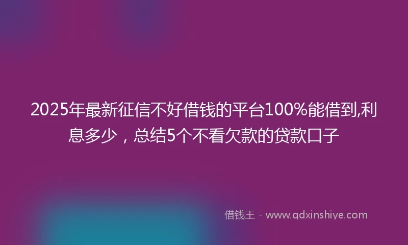 2025年最新征信不好借钱的平台100%能借到,利息多少，总结5个不看欠款的贷款口子