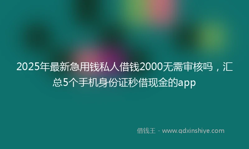 2025年最新急用钱私人借钱2000无需审核吗，汇总5个手机身份证秒借现金的app