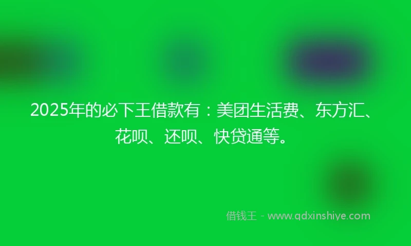 2025年的必下王借款有：美团生活费、东方汇、花呗、还呗、快贷通等。