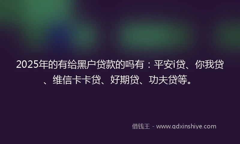 2025年的有给黑户贷款的吗有：平安i贷、你我贷、维信卡卡贷、好期贷、功夫贷等。