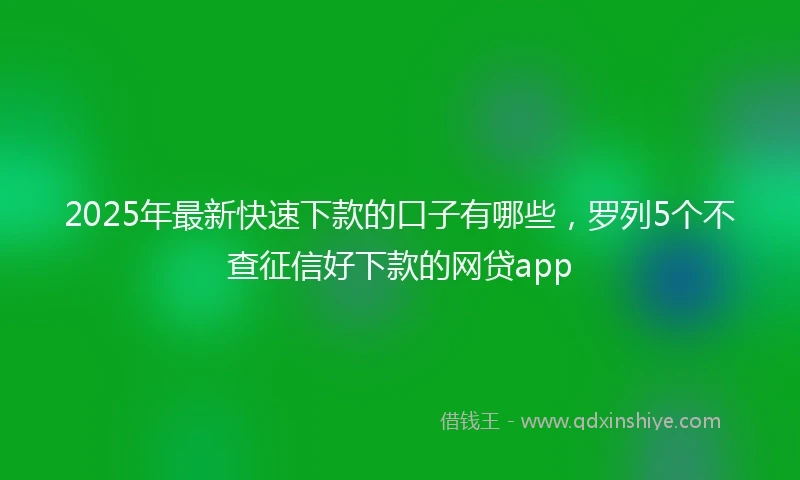 2025年最新快速下款的口子有哪些，罗列5个不查征信好下款的网贷app
