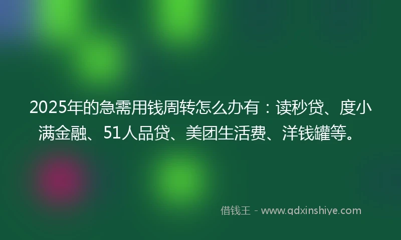 2025年的急需用钱周转怎么办有：读秒贷、度小满金融、51人品贷、美团生活费、洋钱罐等。