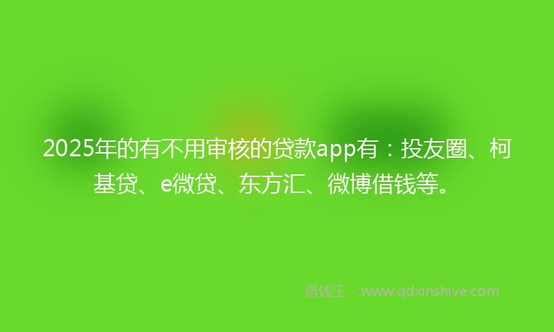 2025年的有不用审核的贷款app有：投友圈、柯基贷、e微贷、东方汇、微博借钱等。