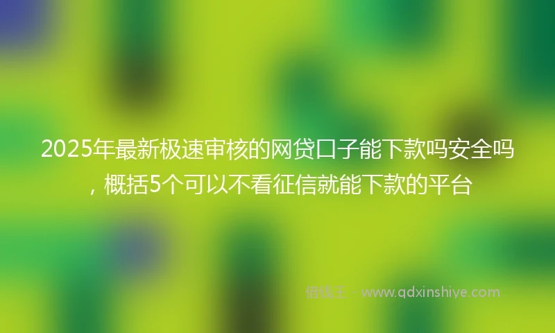 2025年最新极速审核的网贷口子能下款吗安全吗，概括5个可以不看征信就能下款的平台
