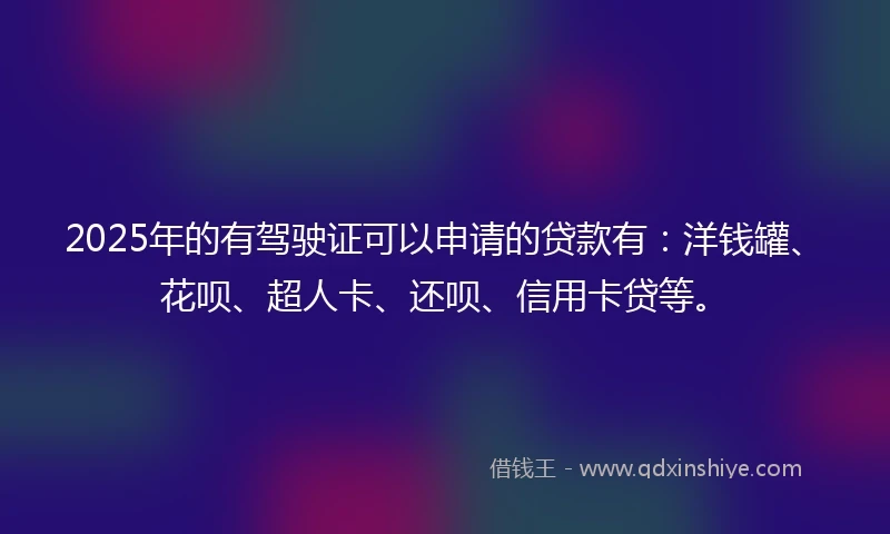2025年的有驾驶证可以申请的贷款有：洋钱罐、花呗、超人卡、还呗、信用卡贷等。