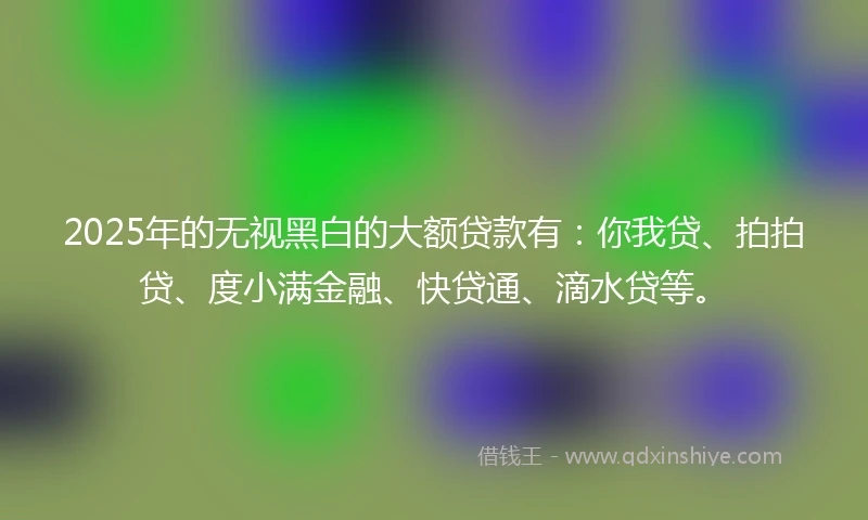 2025年的无视黑白的大额贷款有：你我贷、拍拍贷、度小满金融、快贷通、滴水贷等。