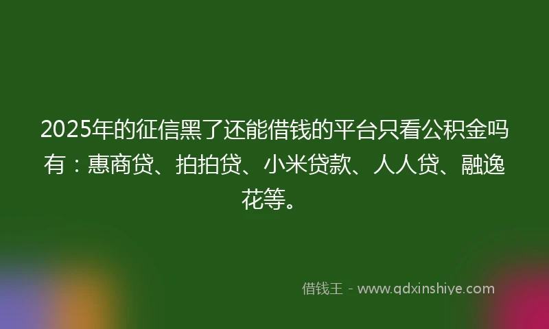 2025年的征信黑了还能借钱的平台只看公积金吗有：惠商贷、拍拍贷、小米贷款、人人贷、融逸花等。