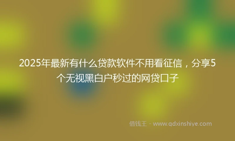 2025年最新有什么贷款软件不用看征信，分享5个无视黑白户秒过的网贷口子