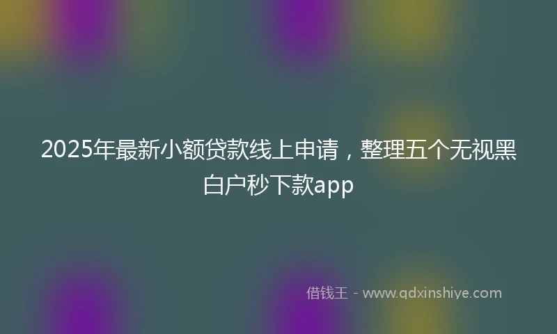 2025年最新小额贷款线上申请，整理五个无视黑白户秒下款app