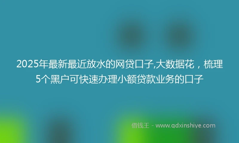 2025年最新最近放水的网贷口子,大数据花，梳理5个黑户可快速办理小额贷款业务的口子