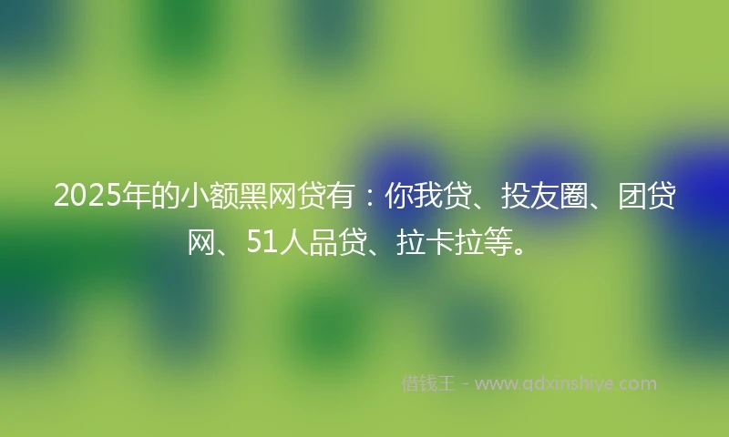 2025年的小额黑网贷有：你我贷、投友圈、团贷网、51人品贷、拉卡拉等。