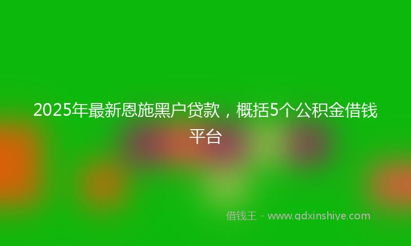 2025年最新恩施黑户贷款，概括5个公积金借钱平台