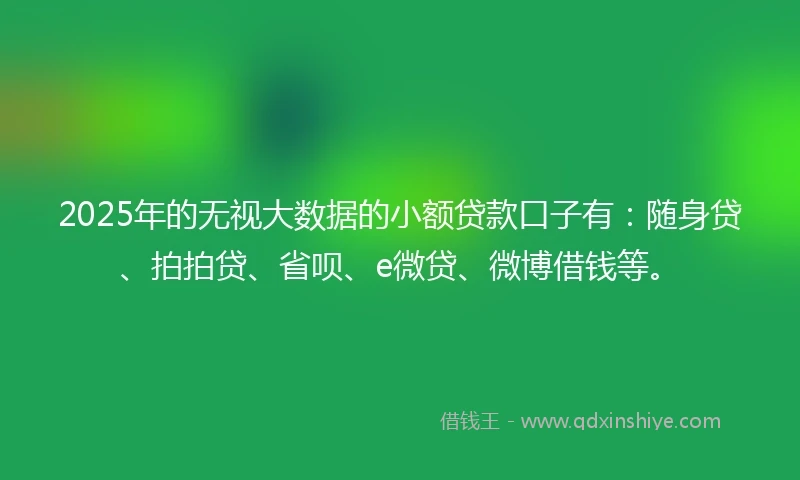 2025年的无视大数据的小额贷款口子有：随身贷、拍拍贷、省呗、e微贷、微博借钱等。