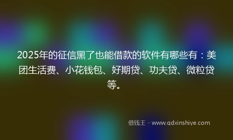 2025年的征信黑了也能借款的软件有哪些有：美团生活费、小花钱包、好期贷、功夫贷、微粒贷等。