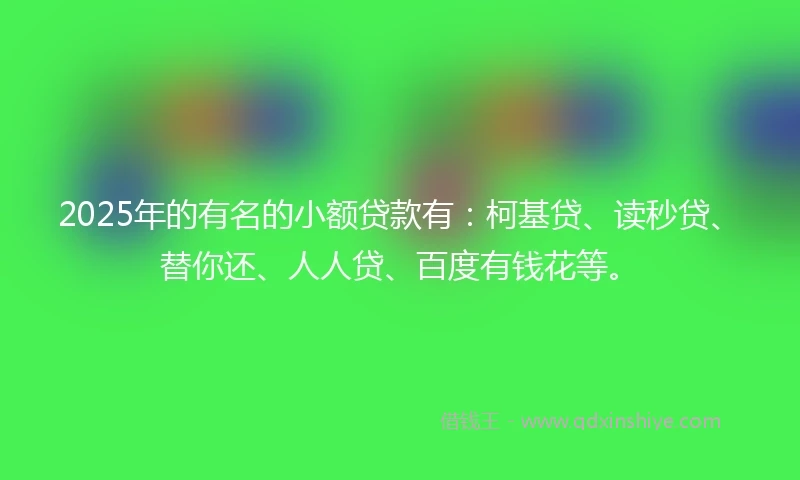2025年的有名的小额贷款有：柯基贷、读秒贷、替你还、人人贷、百度有钱花等。