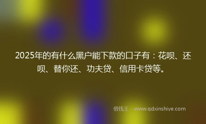 2025年的有什么黑户能下款的口子有：花呗、还呗、替你还、功夫贷、信用卡贷等。