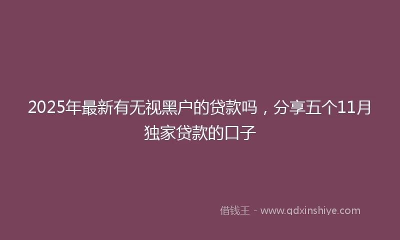 2025年最新有无视黑户的贷款吗，分享五个11月独家贷款的口子