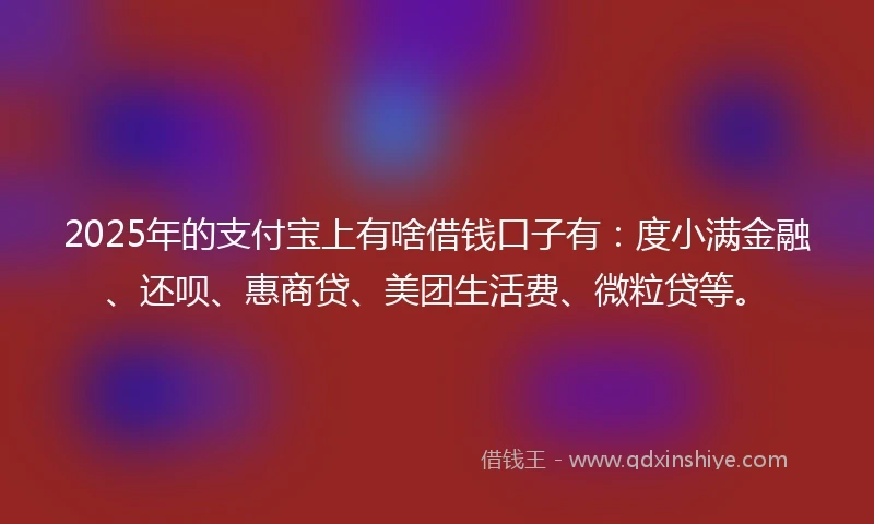 2025年的支付宝上有啥借钱口子有：度小满金融、还呗、惠商贷、美团生活费、微粒贷等。