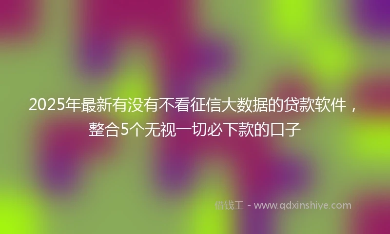 2025年最新有没有不看征信大数据的贷款软件，整合5个无视一切必下款的口子