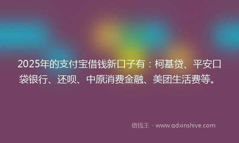 2025年的支付宝借钱新口子有：柯基贷、平安口袋银行、还呗、中原消费金融、美团生活费等。