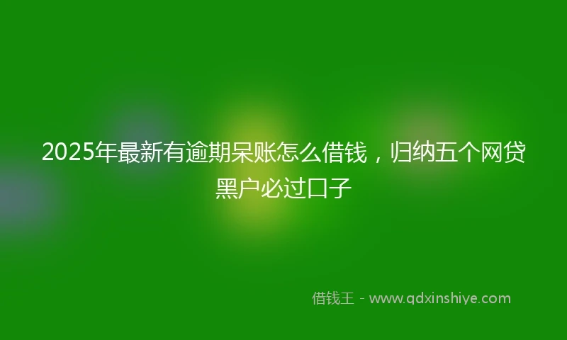 2025年最新有逾期呆账怎么借钱，归纳五个网贷黑户必过口子