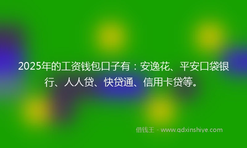 2025年的工资钱包口子有：安逸花、平安口袋银行、人人贷、快贷通、信用卡贷等。