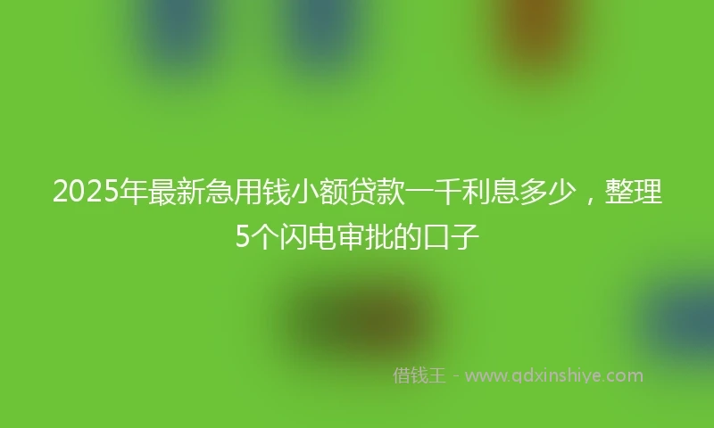 2025年最新急用钱小额贷款一千利息多少，整理5个闪电审批的口子