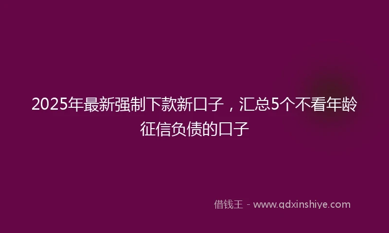 2025年最新强制下款新口子，汇总5个不看年龄征信负债的口子