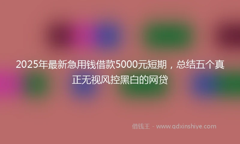 2025年最新急用钱借款5000元短期，总结五个真正无视风控黑白的网贷