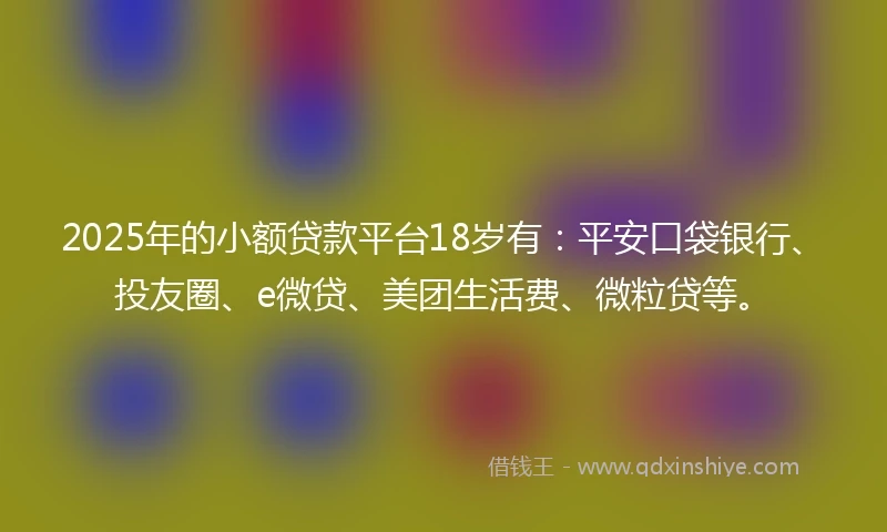 2025年的小额贷款平台18岁有：平安口袋银行、投友圈、e微贷、美团生活费、微粒贷等。