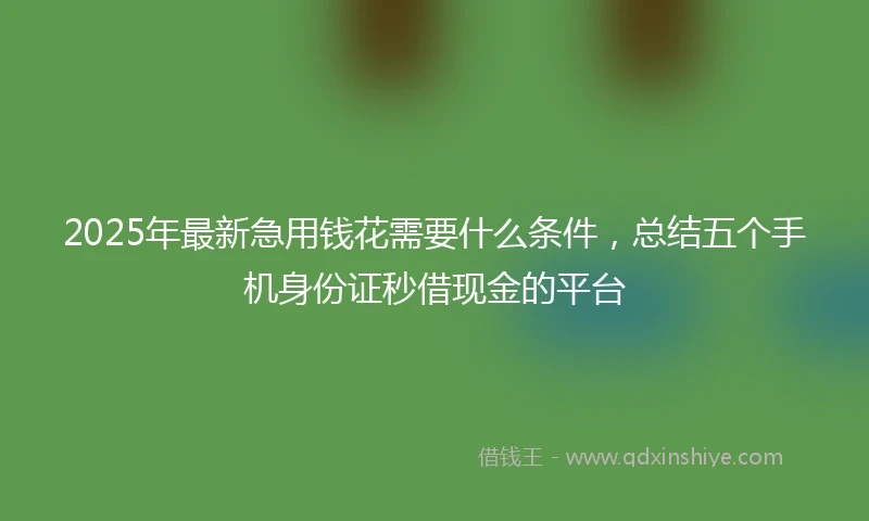 2025年最新急用钱花需要什么条件，总结五个手机身份证秒借现金的平台