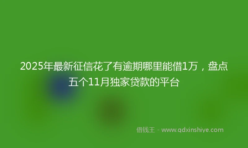 2025年最新征信花了有逾期哪里能借1万，盘点五个11月独家贷款的平台