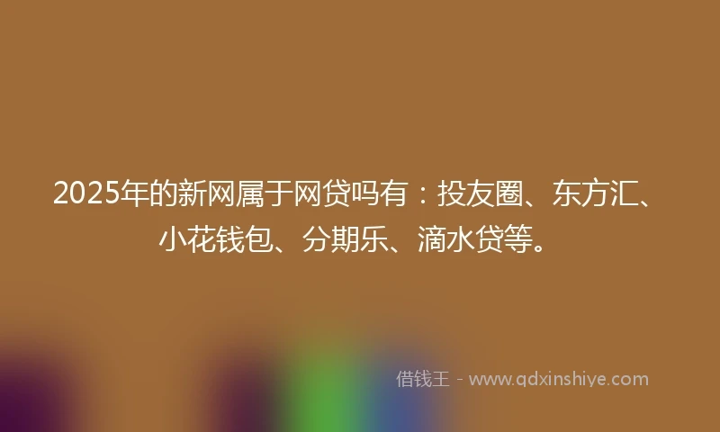 2025年的新网属于网贷吗有：投友圈、东方汇、小花钱包、分期乐、滴水贷等。