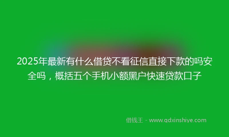 2025年最新有什么借贷不看征信直接下款的吗安全吗，概括五个手机小额黑户快速贷款口子