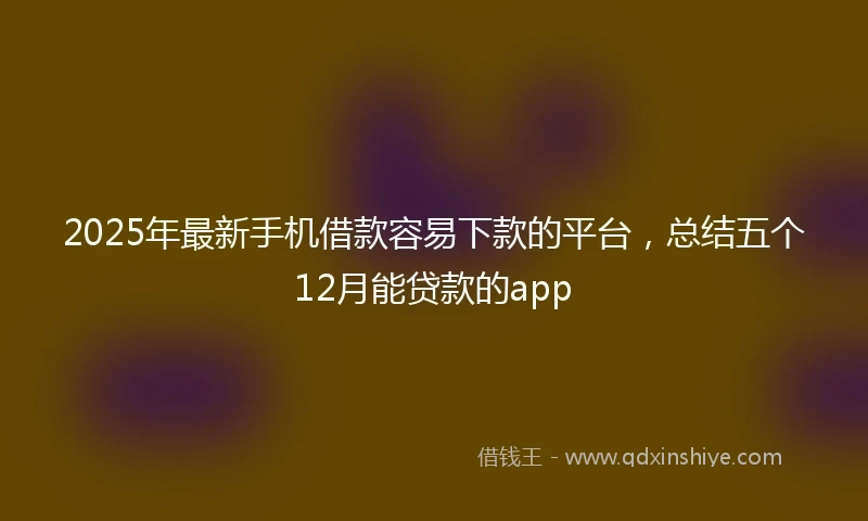 2025年最新手机借款容易下款的平台，总结五个12月能贷款的app
