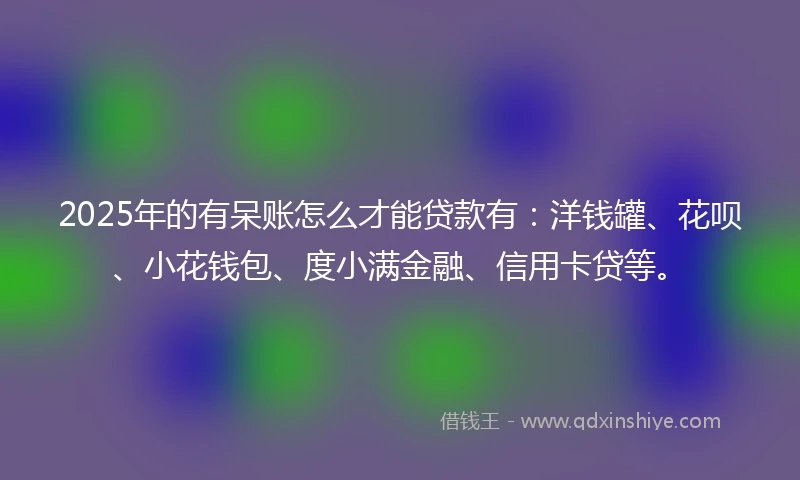 2025年的有呆账怎么才能贷款有：洋钱罐、花呗、小花钱包、度小满金融、信用卡贷等。