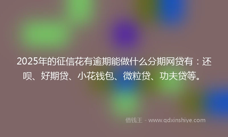 2025年的征信花有逾期能做什么分期网贷有：还呗、好期贷、小花钱包、微粒贷、功夫贷等。