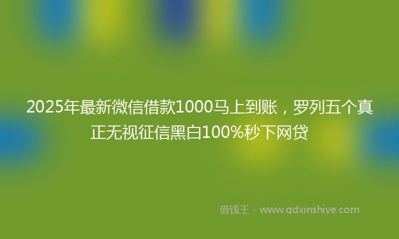 2025年最新微信借款1000马上到账，罗列五个真正无视征信黑白100%秒下网贷