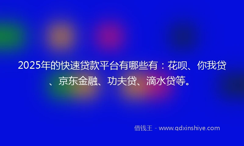2025年的快速贷款平台有哪些有：花呗、你我贷、京东金融、功夫贷、滴水贷等。