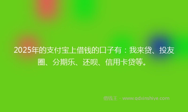 2025年的支付宝上借钱的口子有：我来贷、投友圈、分期乐、还呗、信用卡贷等。