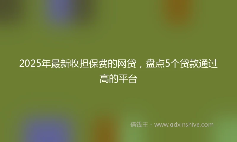 2025年最新收担保费的网贷，盘点5个贷款通过高的平台