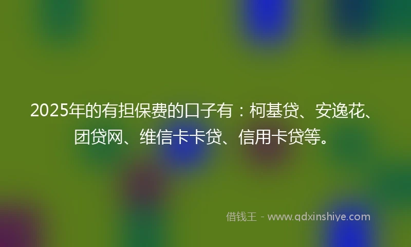 2025年的有担保费的口子有：柯基贷、安逸花、团贷网、维信卡卡贷、信用卡贷等。
