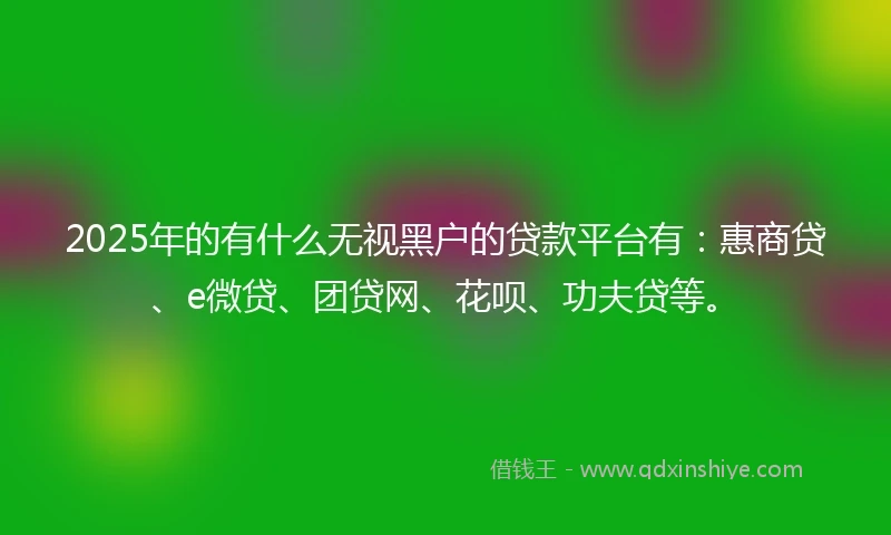 2025年的有什么无视黑户的贷款平台有：惠商贷、e微贷、团贷网、花呗、功夫贷等。