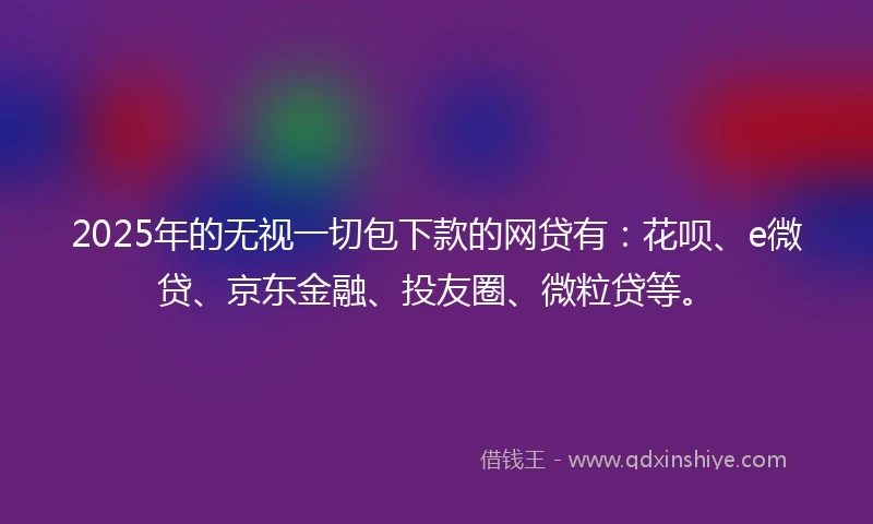 2025年的无视一切包下款的网贷有：花呗、e微贷、京东金融、投友圈、微粒贷等。