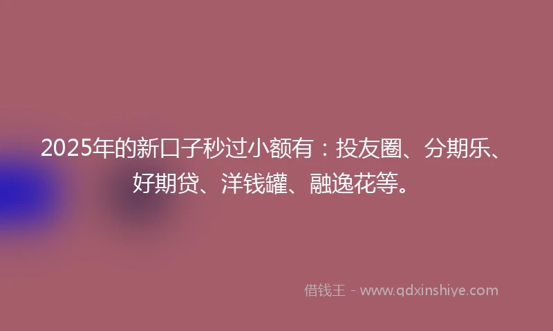 2025年的新口子秒过小额有：投友圈、分期乐、好期贷、洋钱罐、融逸花等。