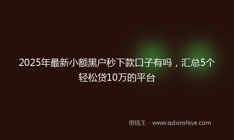 2025年最新小额黑户秒下款口子有吗，汇总5个轻松贷10万的平台
